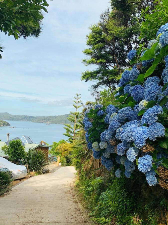 Boho Hill Apartment - Great Barrier Island Escape Okiwi Kültér fotó